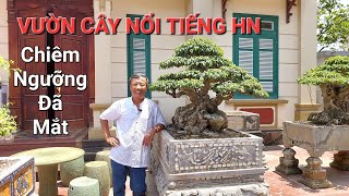 CHIÊM NGƯỠNG tổng thể vườn cây RẤT ĐẸP của nghệ nhân NỔI TIẾNG của chú QUÂN - Thường Tín - Hà Nội .