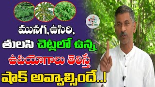 Dr. Ramachandra Rao On Basic Health Problem || Nature Care - #4 || Health Tree