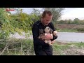 Little brave puppies survived the road finds a loving homes