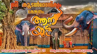 ശ്രീ കൂടൽമാണിക്യംആനയൂട്ട് | koodalmanikyam aanayoottu 25 ആനകളോളം പങ്കെടുത്തു.  #aana #aanakeralam