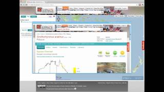 ALA Spatial Portal Demo 1: Mapping Species Observations