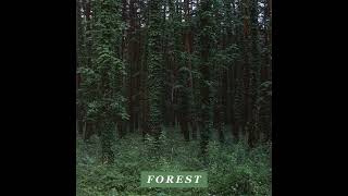 🌠 Driver 🚗 Forest 🎄 (Full 🌀 Album 🍄)