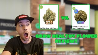 Rainbowbelts 2.0 vs Gorilla Glue #4 from Grow Healthy!! Is it worth the $50? #cannabiseducation