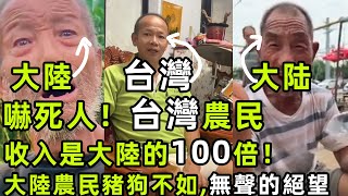 震驚！台灣農民收入竟是大陸的100倍！大陸農民豬狗不如,原來中國夢是給台灣人準備的！這才是真正的幸福台灣！｜Reaction Video