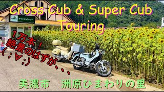 【クロスカブ】と【スーパーカブ】で行く　ひまわりツーリング！岐阜県美濃市洲原ひまわりの里#絶景#カブ#ツーリング#モトブログ#夫婦ライダー