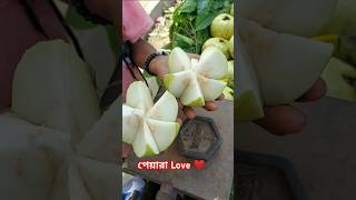 জীভে জল আনা পেয়ারা 😁 | পেয়ারা Love ❤ yummy peyara | #shorts #bengali #food #fruit #minivlog #guava