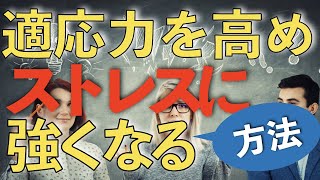 【ストレス 解消法】適応力を高めストレスを解消し強くなる方法