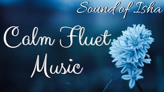 🔴 Relaxing Meditation Music, Sleep Music, Mediation Music, Study Music || Sound of Isha - Bloom