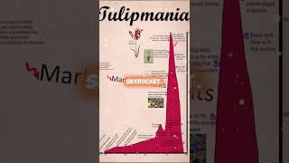 Tulipmania - The First Economic Bubble #shorts #history #tulipmania  #netherlands #economics