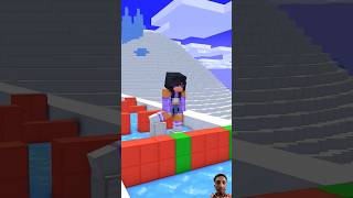 CARGO SKATES RUN CHALLENGE 3 With APHMAU #minecraft #aphmau  #minecraftanimation