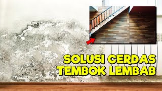 SOLUSI TEMBOK LEMBAB?? Pasang SPC di Tembok