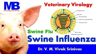 SWINE INFLUENZA | Microbiology | Vivek Srinivas | #H1N1 #Swineflu #Pigflu