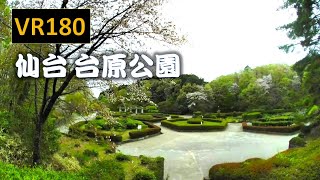 【VR180】仙台 台原公園