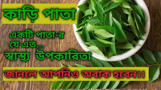 HEALTH BENEFITS OF CURRY LEAVES BANGLA | CURRY PATA | CURRY PATAR UPOKARITA