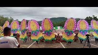 Lantawan Festival Contingent #2 - Tribu Maglalara of Libertad National High School (LNHS)