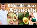 Los Beneficios del Aguacate - 8 Propiedades Curativas de la Palta Para la Salud