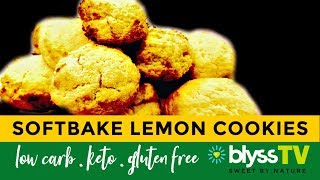 Lemon Softbake Cookie - Low Carb, Keto, Gluten Free with Blyss Monkfruit Sweetener