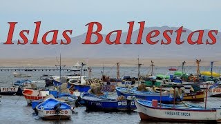 Paracas Islas Ballestas Turismo Tour