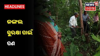 Angul Forest Protection ଜଙ୍ଗଲ ସୁରକ୍ଷା ପାଇଁ ପଣ, ପୁରୁଷଙ୍କ ସହ ଅଣ୍ଟା ଭିଡିଲେ ମହିଳା, ପାଳି କରି ଜଗିବେ ଜଙ୍ଗଲ