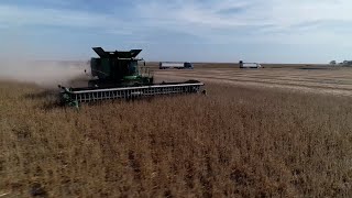 AgweekTV: Soy Insight