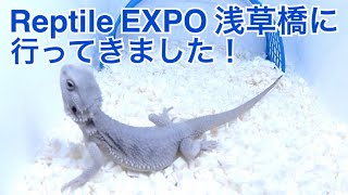 レプタイルエキスポ浅草橋に行ってきました！【Reptile  EXPO】