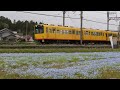 三岐鉄道北勢線大泉駅＆ネモヒラ　20240418