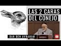 Las dos Caras del Conejo