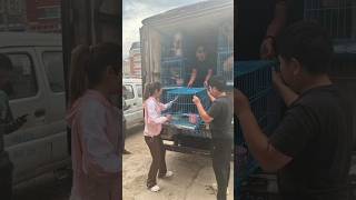 Yulin- Rescues  arrive in Baicheng