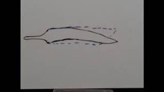 Episode 2: Patch Knife Pt. 1 Revised