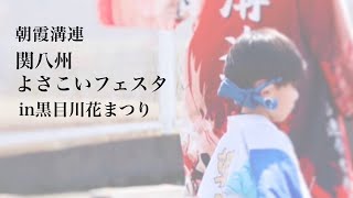 【朝霞溝連2024】関八州よさこいフェスタin黒目川花まつり 2024.3.31  溝沼連合町内会｢朝霞溝連｣