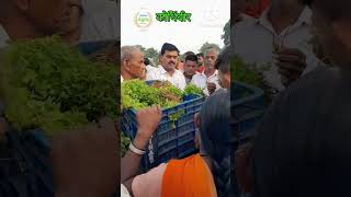 कोथिंबीर बाजार भाव || today kothimbir bazar bhav | Kothimbir bazar bhav nashik #farming #shots