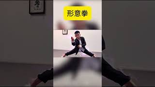 形意拳，脱枪为拳#中华武术博大精深 #一套动作行云流水 #形意拳 #把中华武术赋予新的形式 #武术 #格斗 #防身术