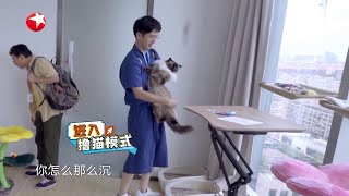 刘昊然沉迷撸猫，连找线索都忘了 |《花样实习生》Fancy New World S2 EP10【东方卫视官方频道】