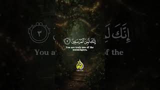 Surah Yasin (Yaseen) سورة يس | Viral Surah Yasin shorts | #yasin #surahyaseen #quranrecitation