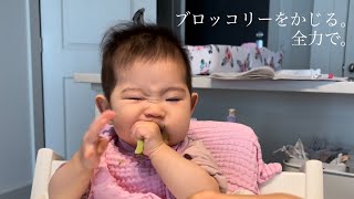 Baby Solid Food, Avocado, Radish, Broccoli, 7 months【アメリカ育児】離乳食, アボカド, ブロッコリー, 大根, 7ヶ月赤ちゃん