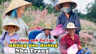 Những Nẻo Đường Nha Trang Qua Dấu Chân Của Anh Cu Lửa XLTN Minnesota. Một Buổi Chiều Đầy Yêu Thương