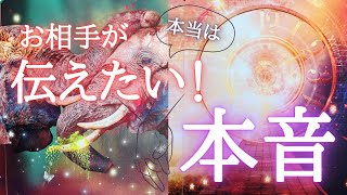 大好きと叫びたい！🥹🩷第一印象・今想うこと🩷まだ言えていないあなたとの未来🥰💌✨