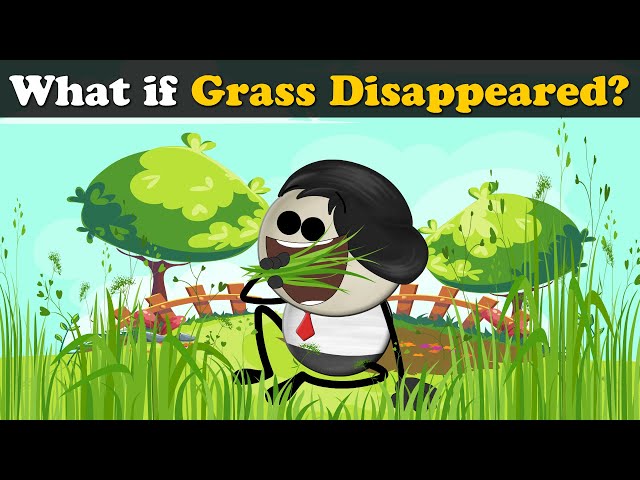 What If Grass Disappeared More Videos Aumsum Kids Science