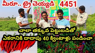 చాలా తక్కువ పెట్టుబడితో దాదాపు 40 క్వింటాళ్లు పండించా | Mirapa sagu telugu | Mirchi seeds | Mirapa