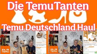 Die TemuTanten gemischter Temu Haul 🎁😸🫂🐈