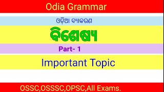 ବିଶେଷ୍ୟ//part-1||ଓଡ଼ିଆ ବ୍ୟାକରଣ||odia grammar