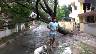 Damage After Cyclone Vardah Makes Landfall In Tamil Nadu