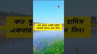 চমৎকার একটি হাদিস। #shortsvideo #ইসলামিক_ভিডিও #islamicshorts #হাদিস