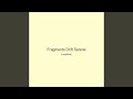 Fragments Drift Serene