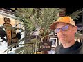 🔴 LIVE: One Man Band plays Local Pub | Acoustic Looping Set 1