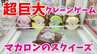 世界一のクレーンゲームセンターで巨大マカロンのスクイーズチャレンジ