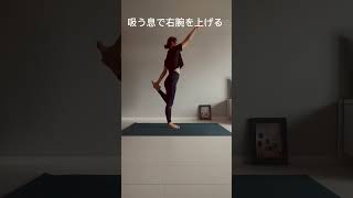 365days asana challenge! Day48 ダンサーポーズ🕺ナタラジャーサナ