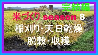 【稲作】米づくりseason８ 【稲刈り・串通し天日乾燥・脱穀・収穫】シーズン完結編