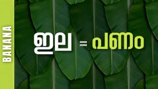 ഇല = പണം | വാഴ ഇല വിപണിയുടെ കാണാപ്പുറങ്ങൾ! | Banana leaf market size #malayalam #banana