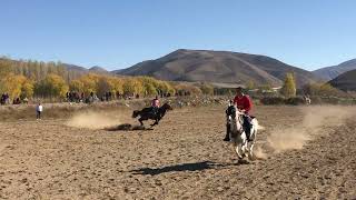 Erzurum Arzen Atlı - Bayburt 15 Temmuz Atlı Cirit Müsabakası